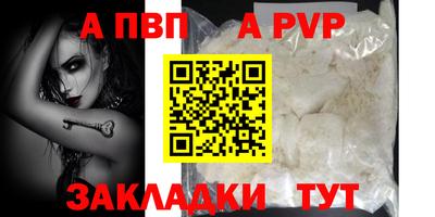 стафф Шебекино