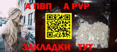 стафф Шебекино
