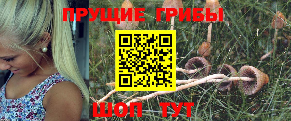 Псилоцибиновые грибы прущие грибы  Вход с VPN  Галлюциногенные грибы Psilocybine cubensis  купить   Вольск 